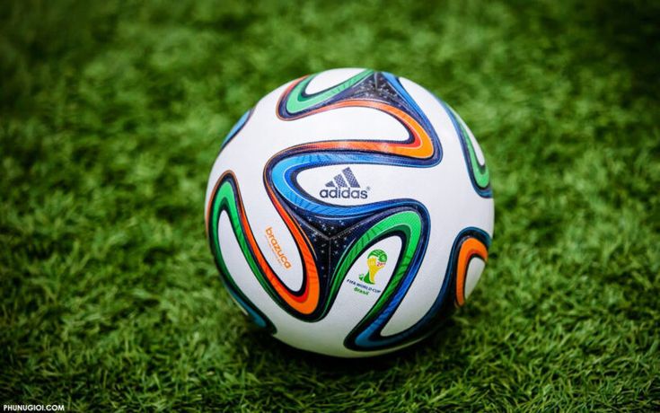 Trải Nghiệm Cá Cược Thể Thao Fly88 – Cảm Giác Mượt Mà, Ổn Định Và Đáng Tin Cậy